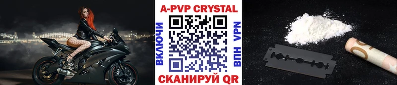 Альфа ПВП СК КРИС  Великий Устюг 