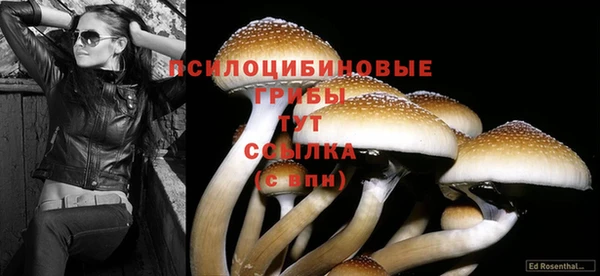 a pvp Беломорск