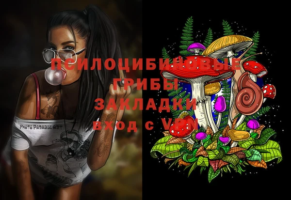 a pvp Беломорск