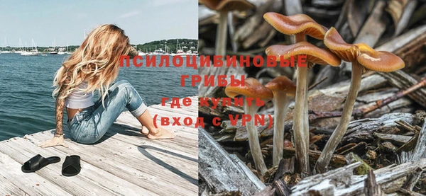 героин Белокуриха