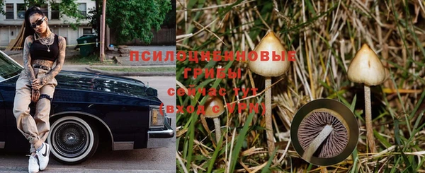 героин Белокуриха