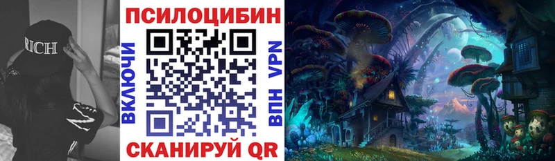 Галлюциногенные грибы Cubensis  Великий Устюг 