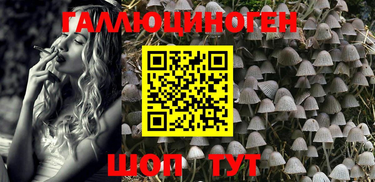 Галлюциногенные грибы Psilocybine cubensis Великий Устюг