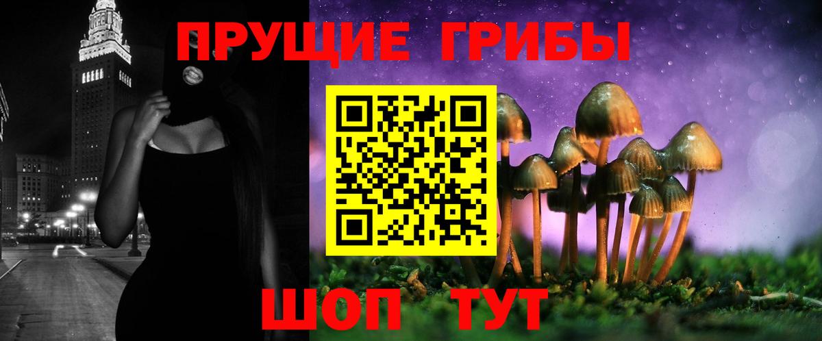 Псилоцибиновые грибы Magic Shrooms  Вход с VPN  Великий Устюг 